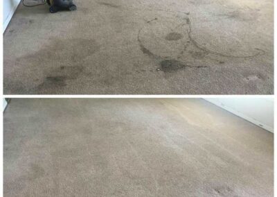 Carpet Cleaning Pasco Washington 11