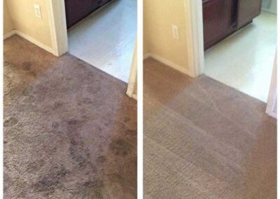 Carpet Cleaning Pasco Washington 13