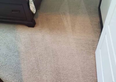 Carpet Cleaning Pasco Washington 4