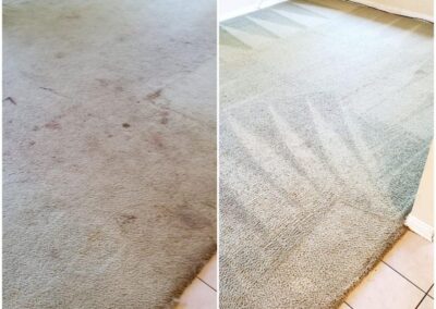Carpet Cleaning Pasco Washington 6
