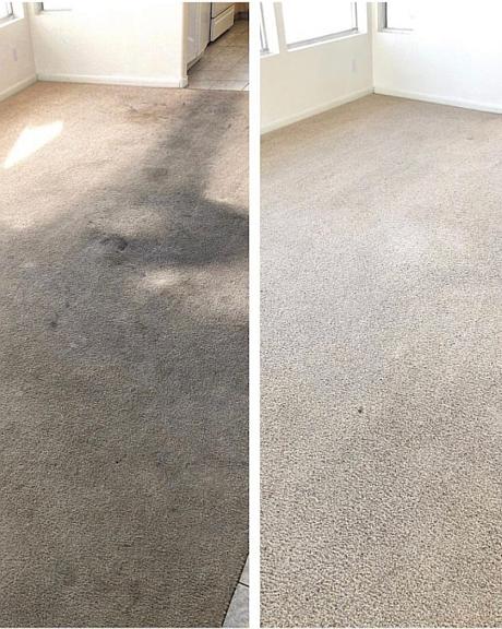 carpet cleaning services in pasco
