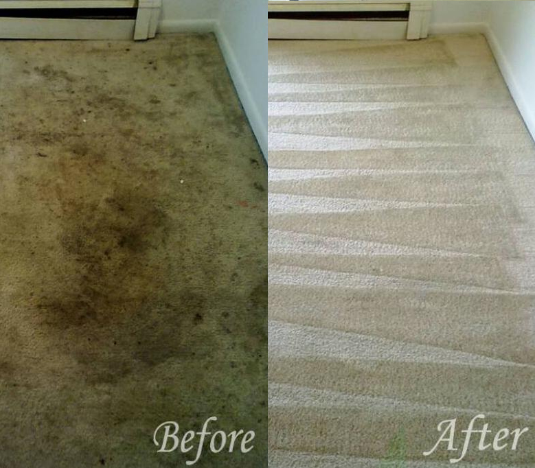 Carpet Cleaning Pasco Washington 19