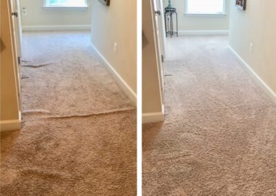 Carpet Cleaning Pasco Washington 1