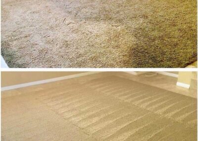 Carpet Cleaning Pasco Washington 12